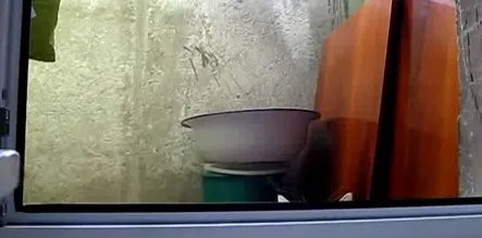 За тобой следят