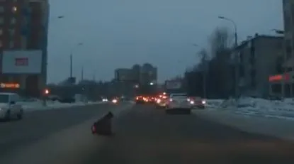 Тапком прилетело