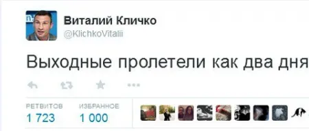 Виталий Кличко, Один в поле не двое