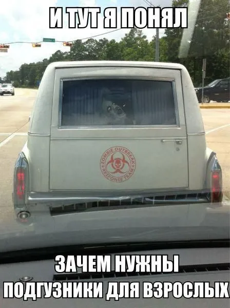 Автомобильные приколы (23 фото)