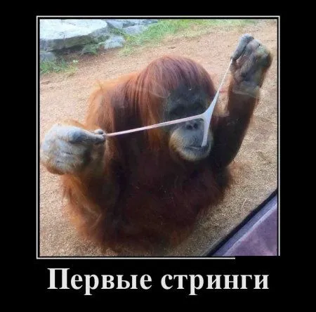 Демотиваторы, вот так и живем
