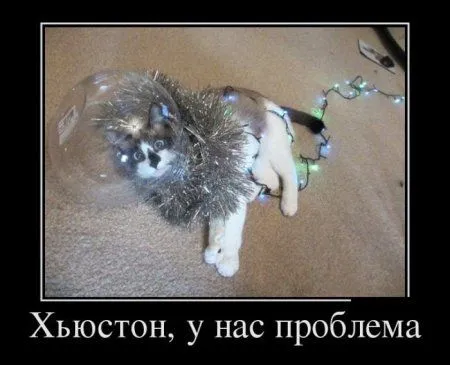 Демотиваторы, вот так и живем