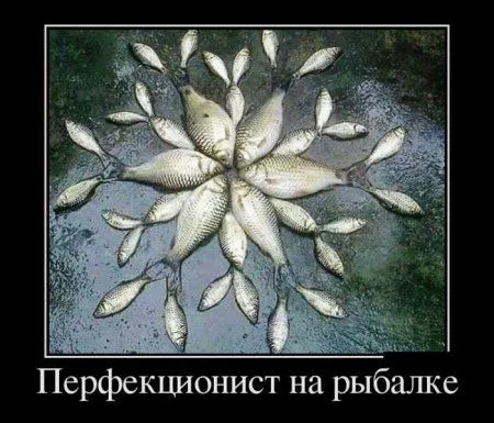 Демотиваторы, вот так и живем