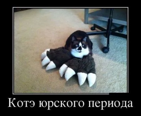 Демотиваторы, вот так и живем