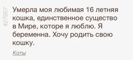Сумасшедшие мамаши вам посоветуют Сумасшедшие мамаши вам посоветуют
