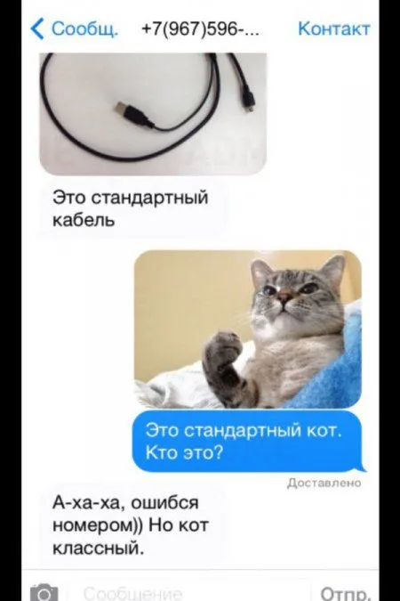 СМС - Люди которые явно ошиблись номерами СМС - Люди которые явно ошиблись номерами