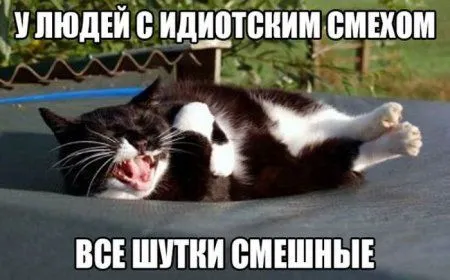 Приятного настроения картинки