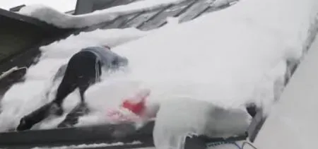 Зимние феилы