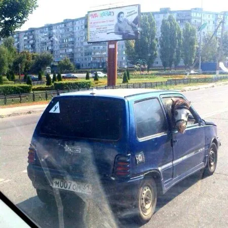 Автомобильные приколы (23 фото)