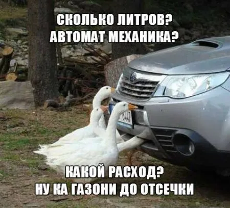 Автомобильные приколы (23 фото)