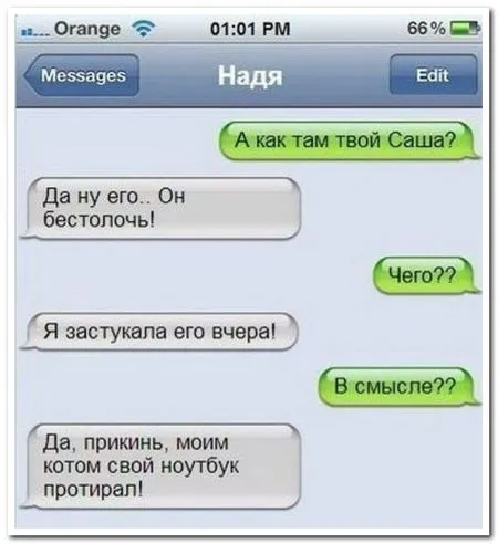 В социальных сетях сегодня пишут (22 фото)