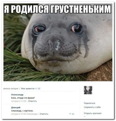 В социальных сетях сегодня пишут (22 фото)
