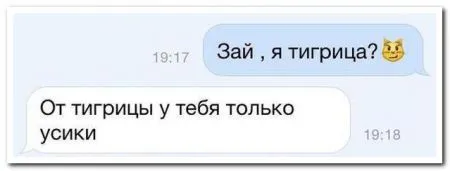 В социальных сетях сегодня пишут (22 фото)