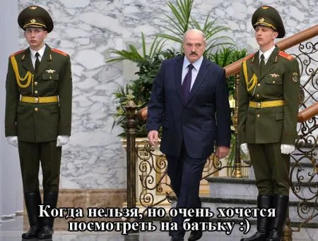 Реакция соц сетей на переговоры в Минске