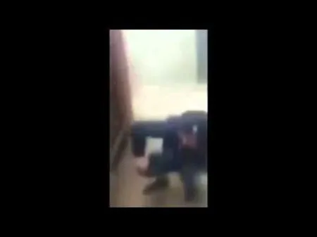 Не злите собак