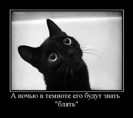 Демотиваторы, для зорких глаз Демотиваторы, для зорких глаз