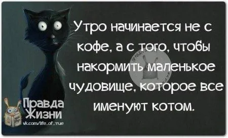 Фразы с позитивом, и только Фразы с позитивом, и только