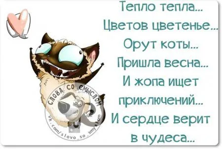 Фразы с позитивом, и только Фразы с позитивом, и только