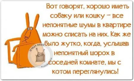 Фразы с позитивом, и только Фразы с позитивом, и только