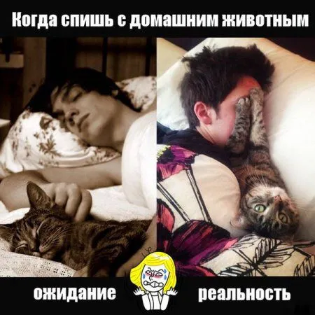 Смотри приколы и радуйся жизни