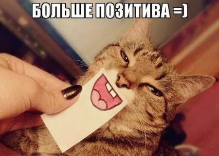 Смотри приколы и радуйся жизни
