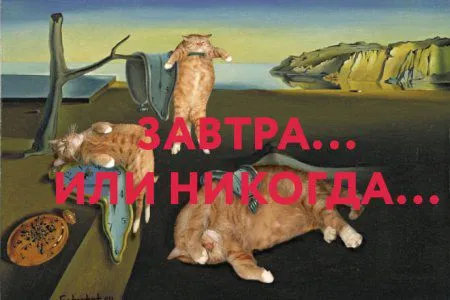 Смотри приколы и радуйся жизни