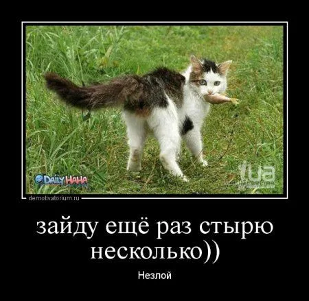 Демотиваторы которые хотят чтобы ты их посмотрел