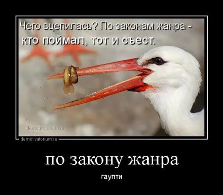 Демотиваторы которые хотят чтобы ты их посмотрел