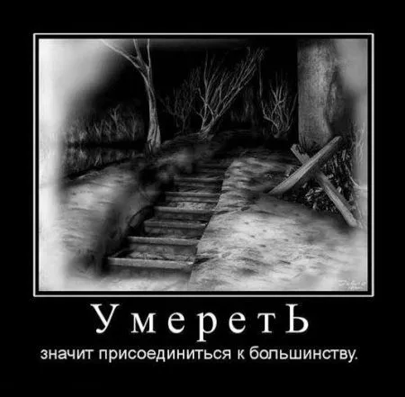 Демотиваторы которые хотят чтобы ты их посмотрел