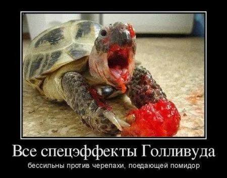 Демотиваторы которые хотят чтобы ты их посмотрел