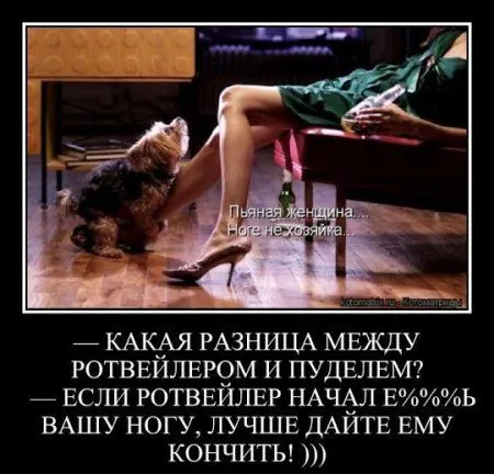 Да здравствует подборка демок Да здравствует подборка демок