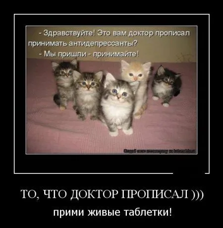 Да здравствует подборка демок Да здравствует подборка демок