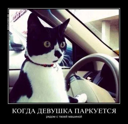 Да здравствует подборка демок Да здравствует подборка демок