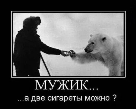 Да здравствует подборка демок