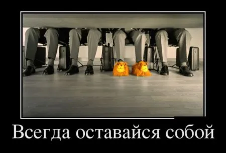 18 демотиваторов для поднятия настроения