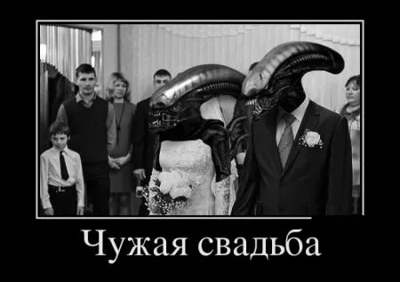 18 демотиваторов для поднятия настроения