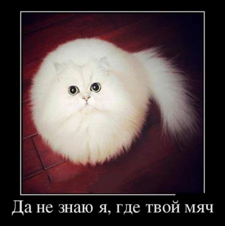 18 демотиваторов для поднятия настроения