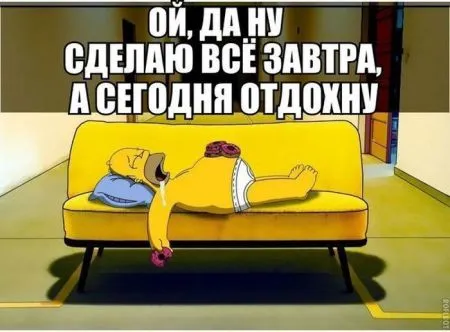 Фото прикольная подборка