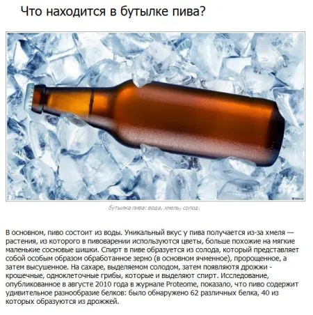 10 фактов о пиве