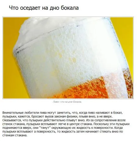 10 фактов о пиве