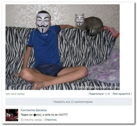 И сова комменты из соцсетей