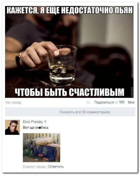 И сова комменты из соцсетей