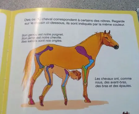 ТОП Худших книжек для детей