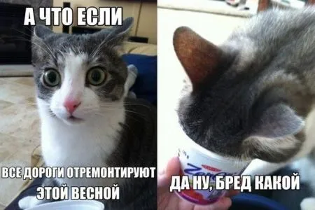Подборка автоприколов 15 фото