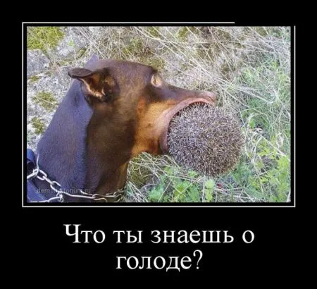 Демки тут у нас своя атмосфера