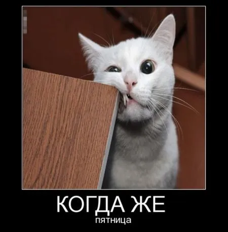 Демки тут у нас своя атмосфера