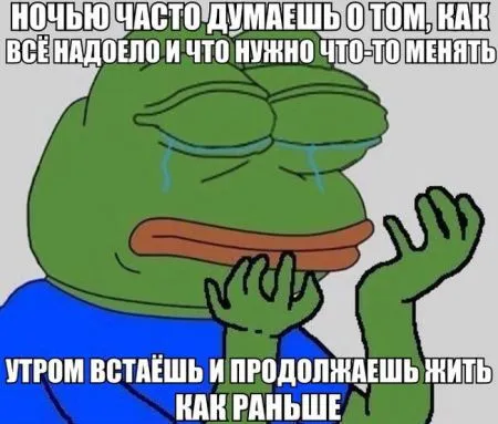 Вот такие вот фото приколы у нас
