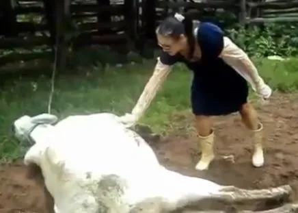 Приколы и фейлы со всего мира