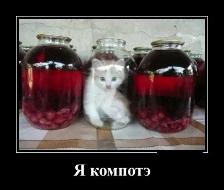 Смешанные прикольные демотиваторы