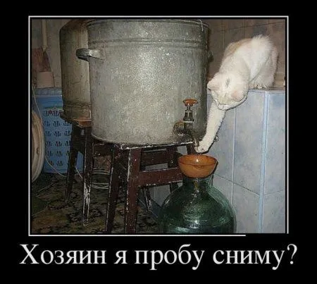 Для нас прикольные демотиваторы